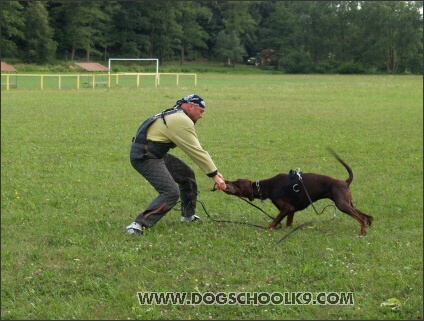 Training camp - Lukova 2007